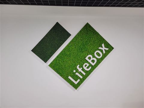 Perete de licheni stabilizați – Life Box, foto 1 din 2